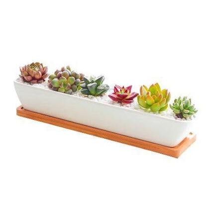 Succulent Planter-Long