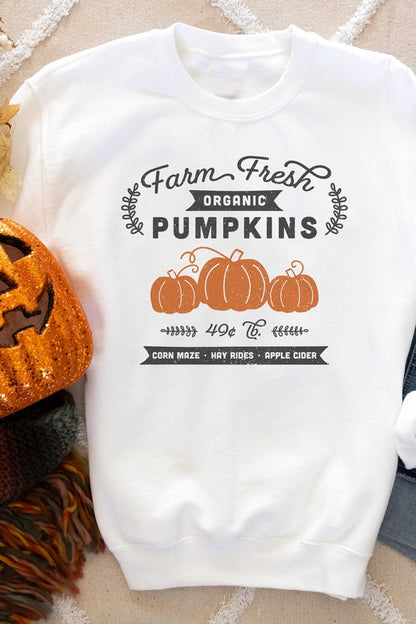 FARM FRESH ORGANIC PUMPKINS GRAPHIC SWEATSHIRT