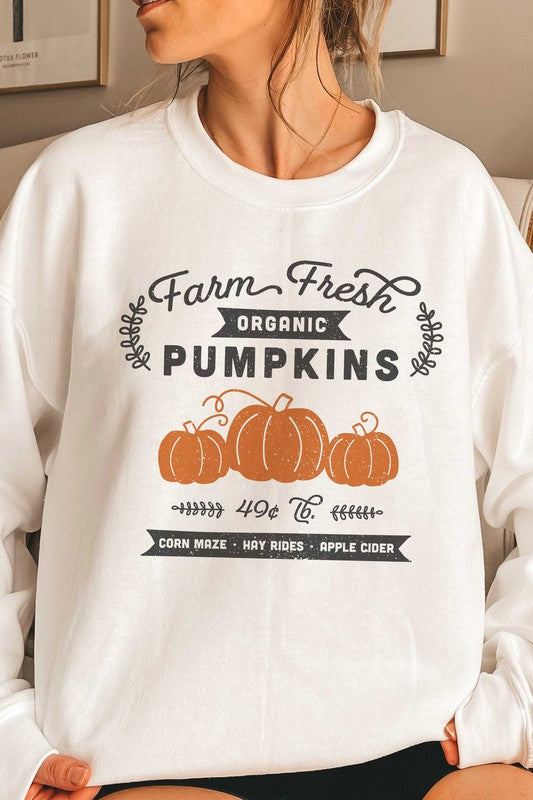 FARM FRESH ORGANIC PUMPKINS GRAPHIC SWEATSHIRT