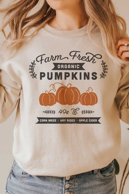 FARM FRESH ORGANIC PUMPKINS GRAPHIC SWEATSHIRT