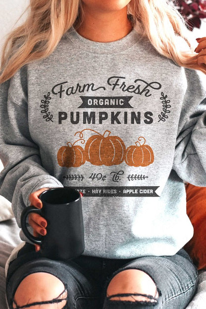 FARM FRESH ORGANIC PUMPKINS GRAPHIC SWEATSHIRT