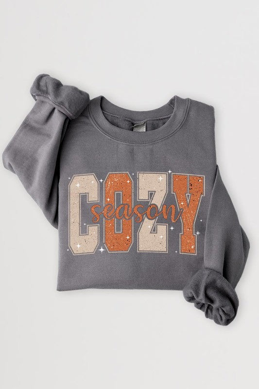 Cozy Season Graphic Fleece Sweatshirts