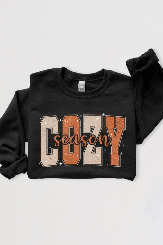 Cozy Season Graphic Fleece Sweatshirts